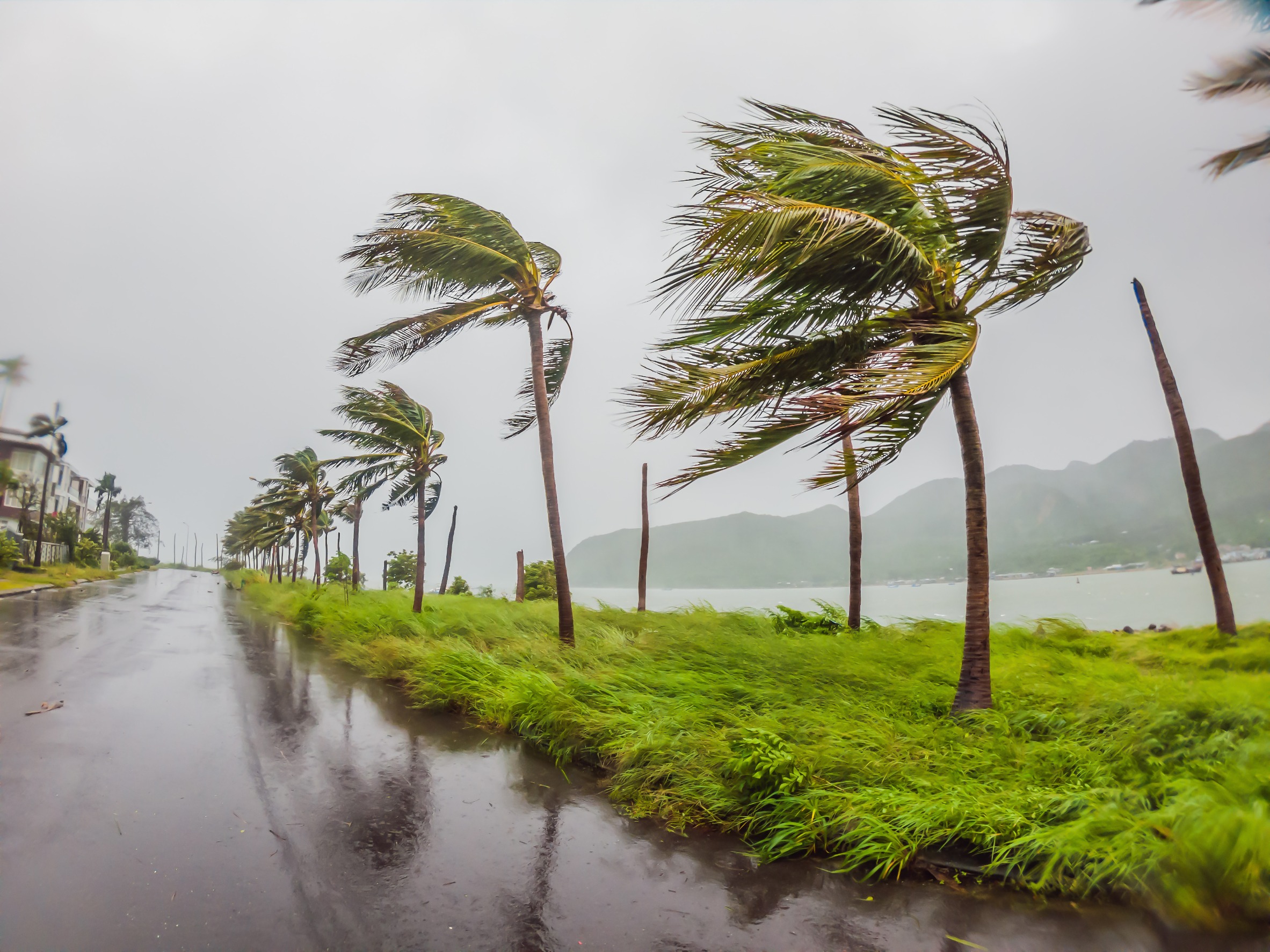 windstorm